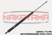 NAKAYAMA G * * * Y