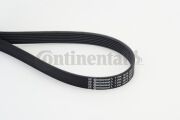 Continental 7 * * * 0